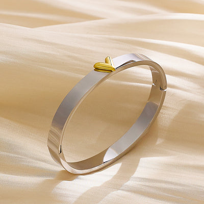 Ellipse Titanium Steel Electroplating Bangles