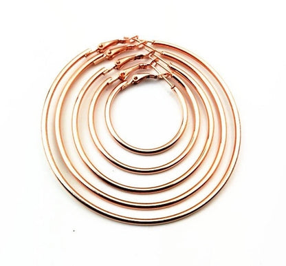 1 Pair Minimalist Solid Color Stainless Steel Hoop Earrings