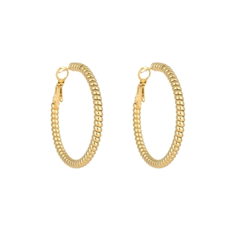 1 Pair Minimalist Solid Color Plating Titanium Steel Earrings