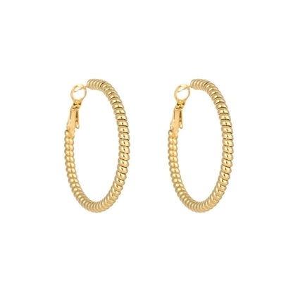 1 Pair Minimalist Solid Color Plating Titanium Steel Earrings