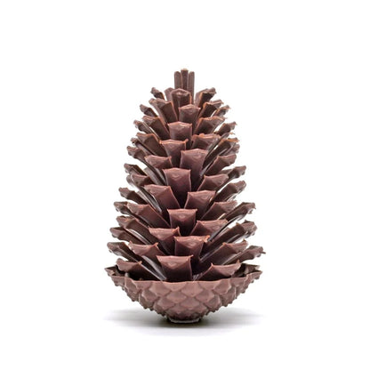 Christmas Decorations Christmas Tree Pine Cone Pendant High Simulation Pine Cone Wreath Decoration 13cm American Pine Cone