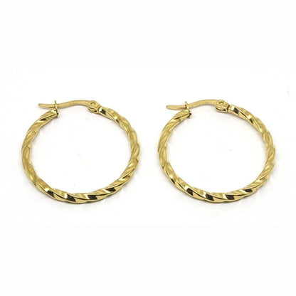 1 Pair Minimalist Commute Geometric Polishing Plating Titanium Steel Earrings