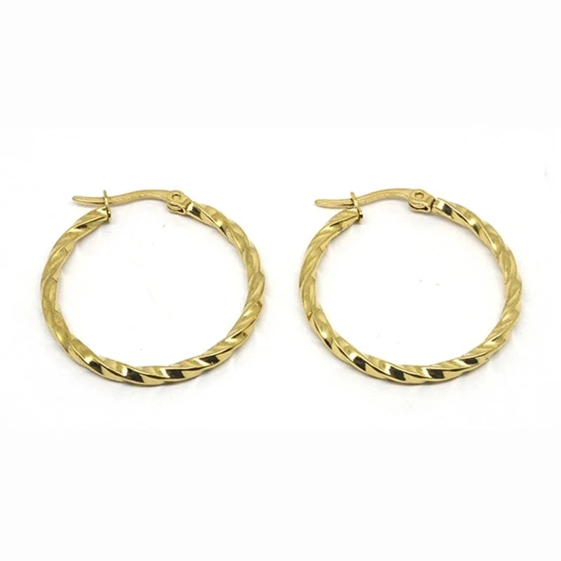 1 Pair Minimalist Commute Geometric Polishing Plating Titanium Steel Earrings