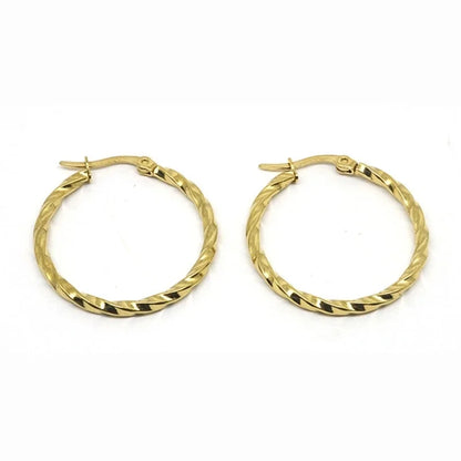 1 Pair Minimalist Commute Geometric Polishing Plating Titanium Steel Earrings