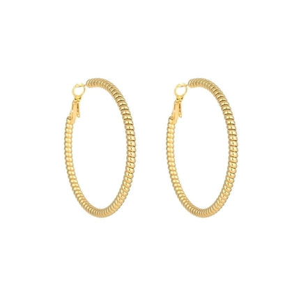 1 Pair Minimalist Solid Color Plating Titanium Steel Earrings