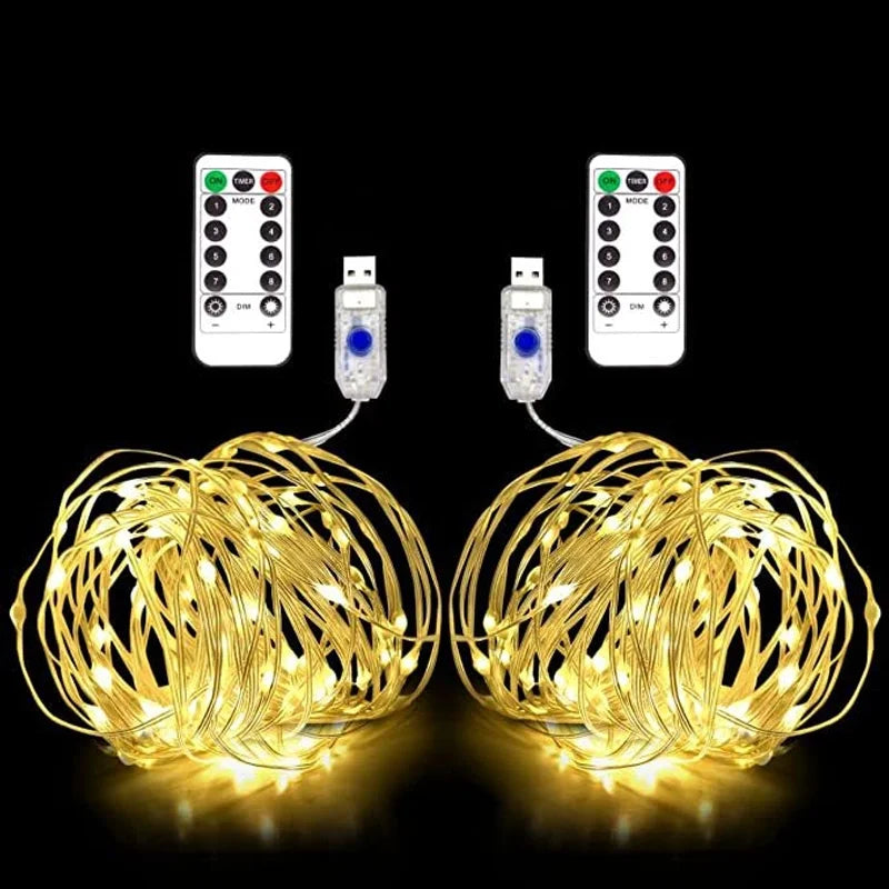 LED Light String Eight Function USB Waterproof Battery Box Remote Control Copper Wire Light String Leather Wire Light String Christmas Decorative Colored Light String