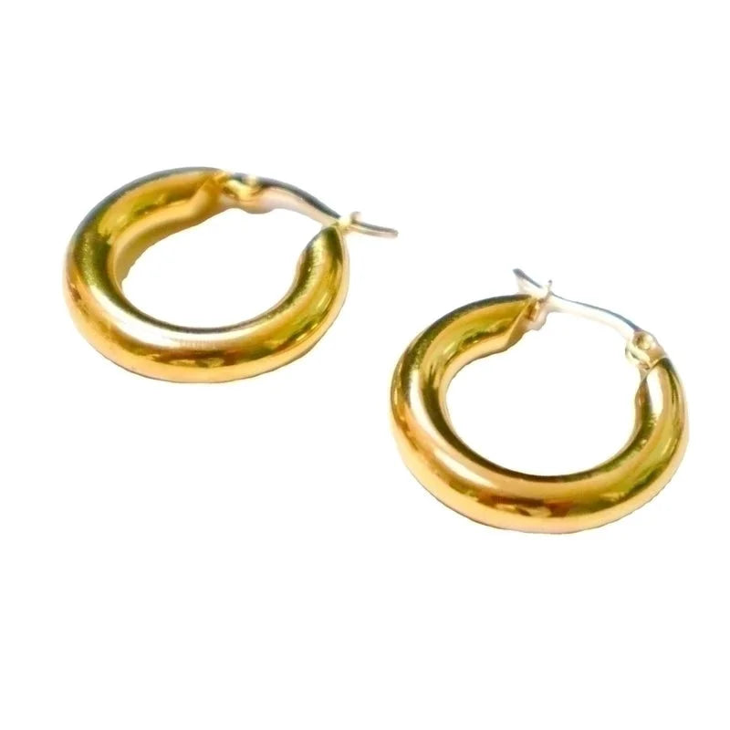 1 Pair Minimalist Solid Color Plating Stainless Steel Hoop Earrings