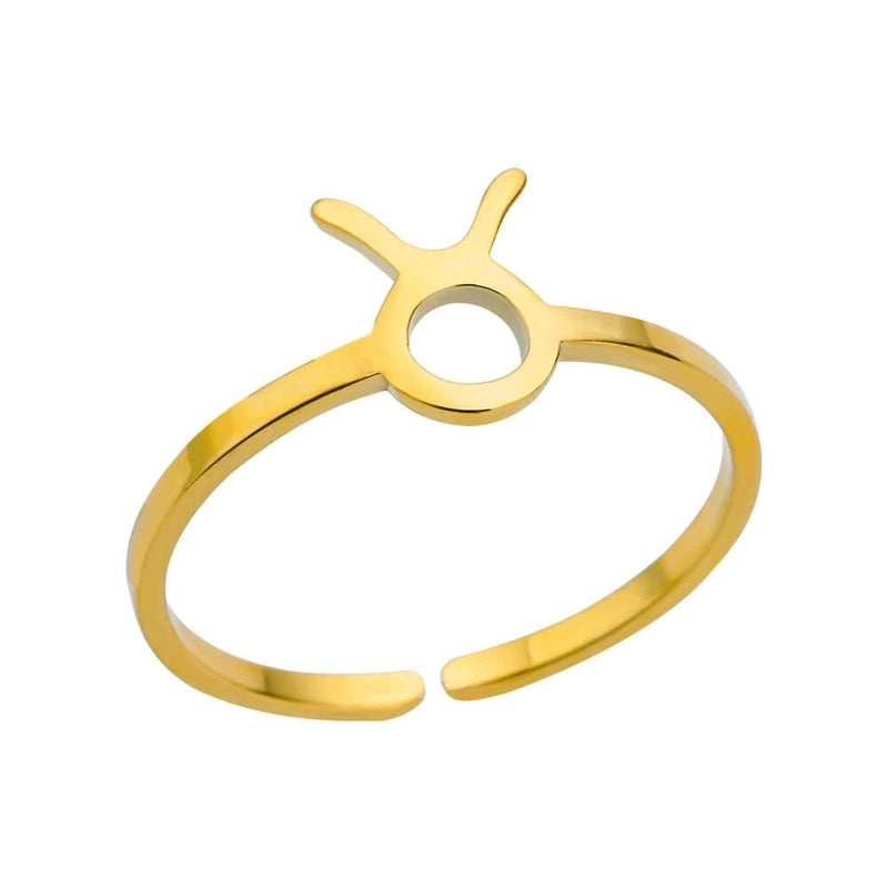 Basic Minimalist Constellation 304 Stainless Steel Plating Open Rings