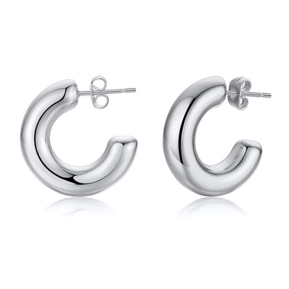 201 Stainless Steel Stainless Steel Earrings