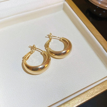 Silver Needle Exaggerated Lovely Earrings Light Luxury High-grade Niche Earrings Fashion Metal Temperament Earrings For Women