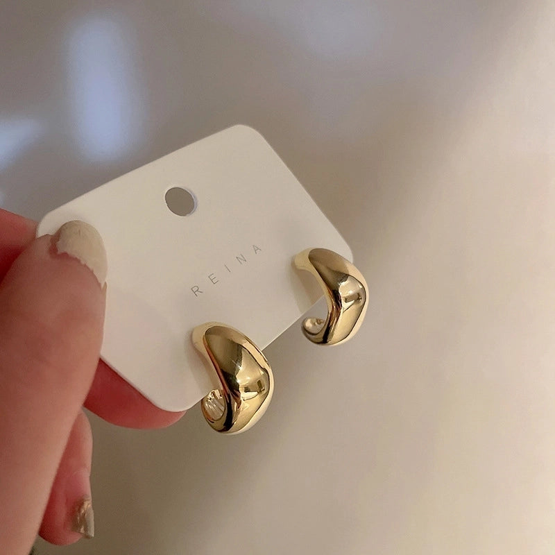 Silver Needle Exaggerated Lovely Earrings Light Luxury High-grade Niche Earrings Fashion Metal Temperament Earrings For Women