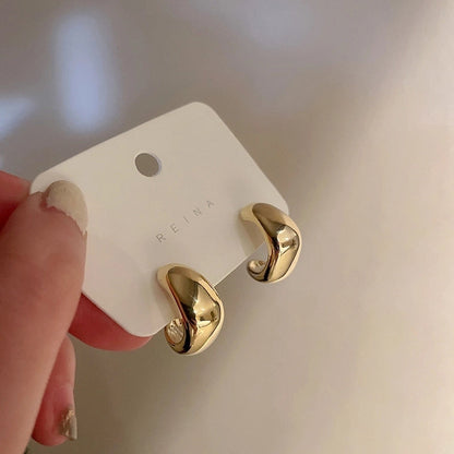 Silver Needle Exaggerated Lovely Earrings Light Luxury High-grade Niche Earrings Fashion Metal Temperament Earrings For Women