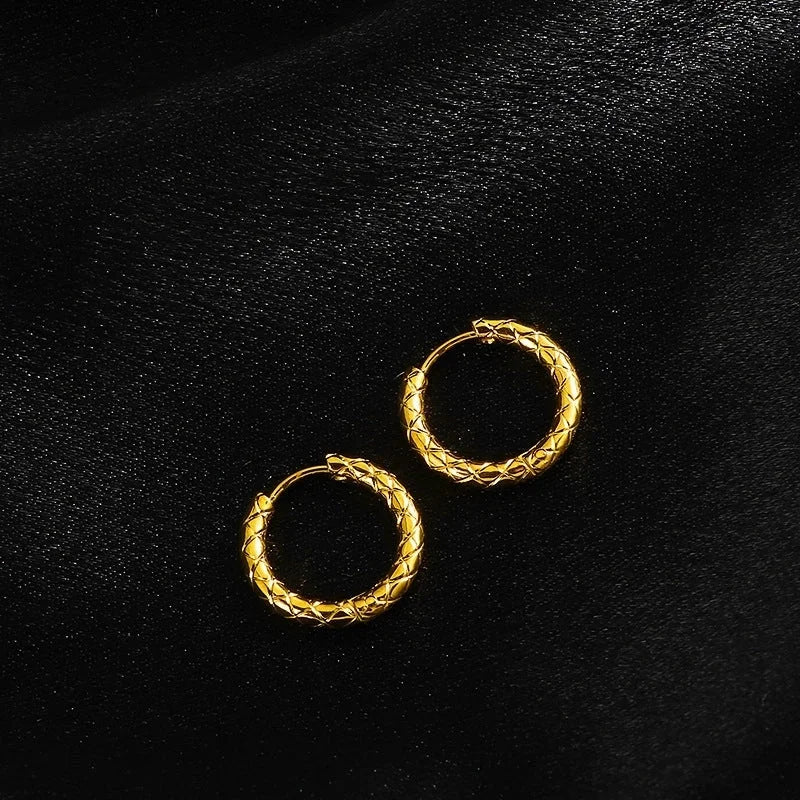 1 Pair Minimalist Geometric Titanium Steel Earrings