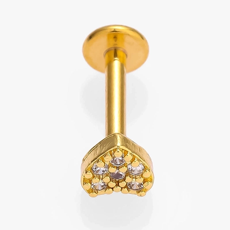 1 Piece Lip Rings Minimalist Commute Leaves Heart Shape Flower 316L Stainless Steel Inlay Zircon 18K Gold Plated Ear Cartilage Rings & Studs