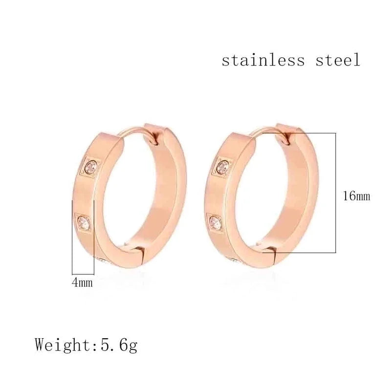 Micro-inlaid Zircon Stainless Steel Round Earrings