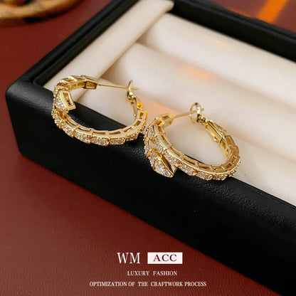 Luxurious Snake Chinese Zodiac Animal Copper Zircon Inlay Earrings