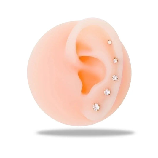 1 Piece Ear Cartilage Rings & Studs Minimalist Round 316L Stainless Steel Plating Inlay Zircon