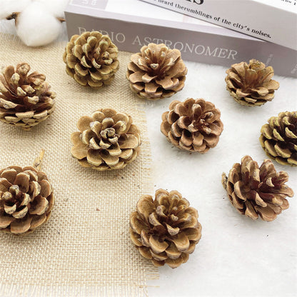 2 Pieces 1-18cm Pine Cone Christmas Decoration Hanging Pine Cone Christmas Tree Hanging Decoration Photography Props Dried Flower Pine Cone Pine Cone