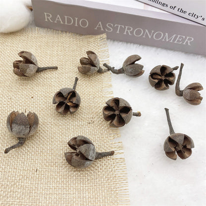 2 Pieces 1-18cm Pine Cone Christmas Decoration Hanging Pine Cone Christmas Tree Hanging Decoration Photography Props Dried Flower Pine Cone Pine Cone