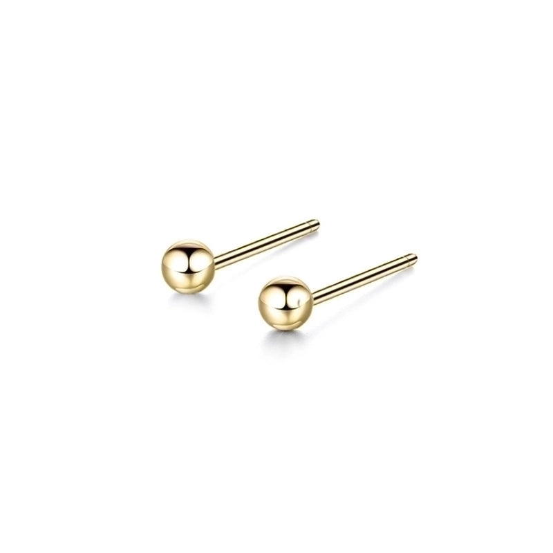 Minimalist Geometric Stainless Steel No Inlaid 14K Gold Plated Earrings