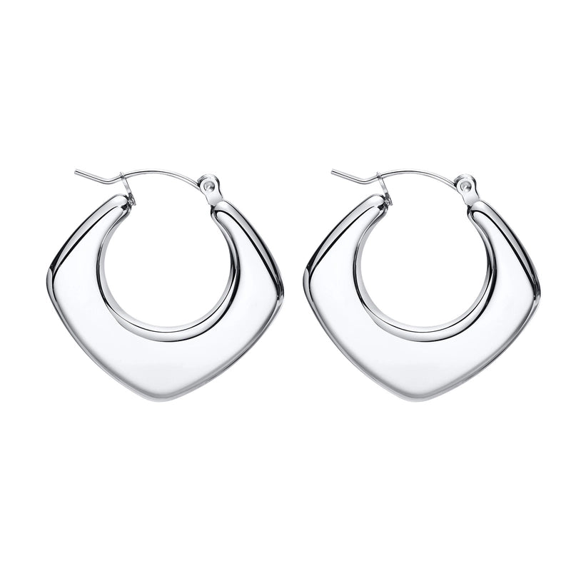 201 Stainless Steel Stainless Steel Earrings