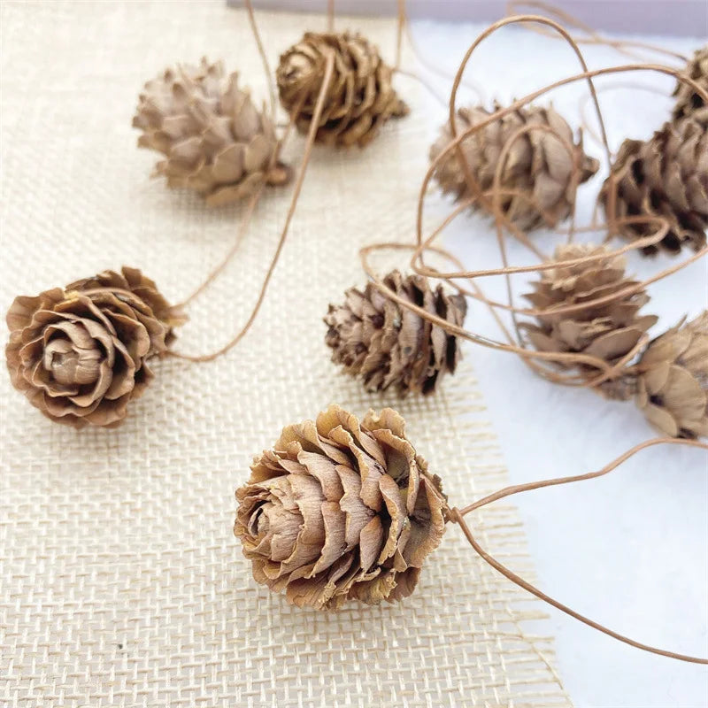 2 Pieces 1-18cm Pine Cone Christmas Decoration Hanging Pine Cone Christmas Tree Hanging Decoration Photography Props Dried Flower Pine Cone Pine Cone