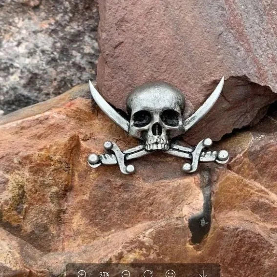 Funny Pin Skull Alloy Unisex Brooches 1 Piece