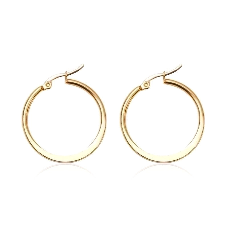 1 Pair Fashion Solid Color Plating Stainless Steel 14K Gold Plated Hoop Earrings