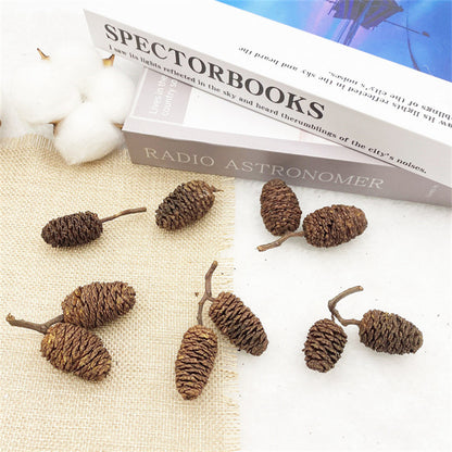 2 Pieces 1-18cm Pine Cone Christmas Decoration Hanging Pine Cone Christmas Tree Hanging Decoration Photography Props Dried Flower Pine Cone Pine Cone