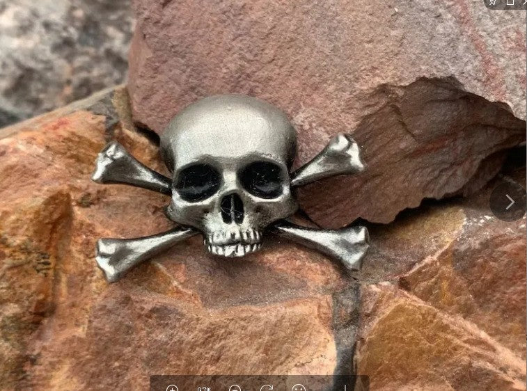 Funny Pin Skull Alloy Unisex Brooches 1 Piece