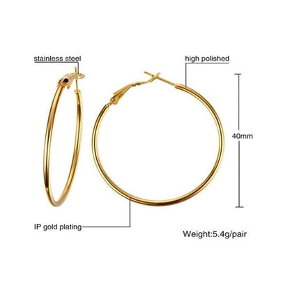 1 Pair Minimalist Geometric 304 Stainless Steel Gold Plated Hoop Earrings
