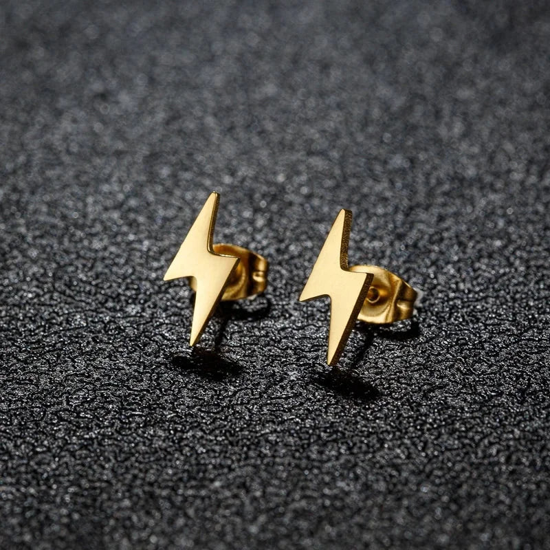 1 Pair Sweet Minimalist Artistic Animal Irregular Polishing Plating 304 Stainless Steel 18K Gold Plated Ear Studs