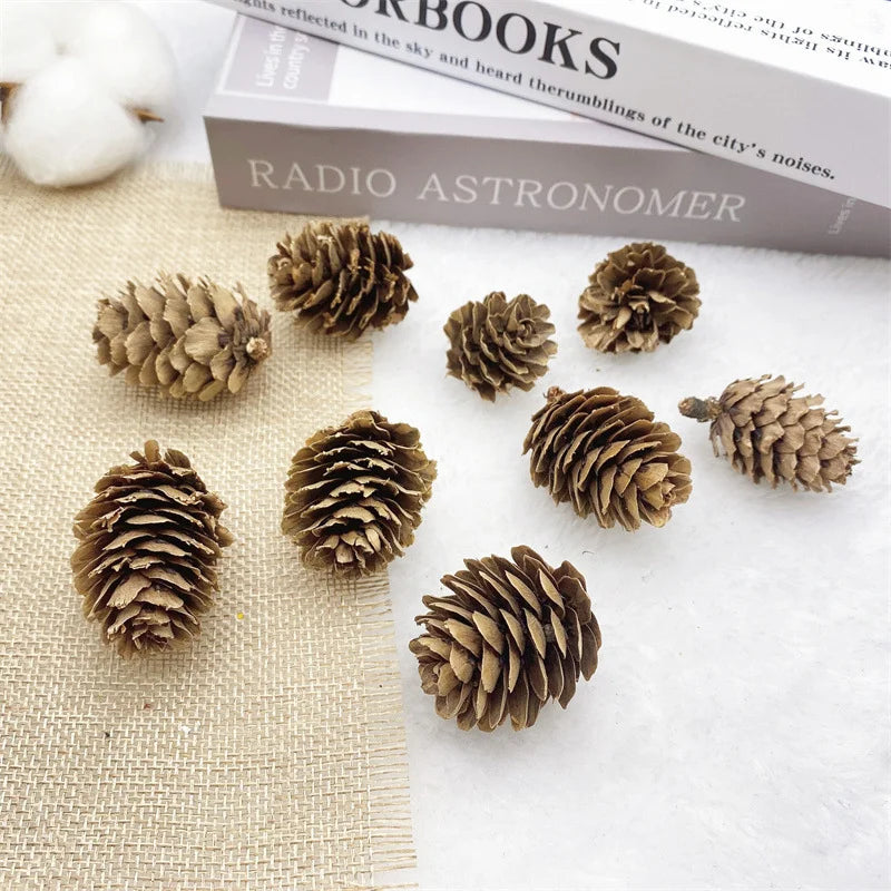 2 Pieces 1-18cm Pine Cone Christmas Decoration Hanging Pine Cone Christmas Tree Hanging Decoration Photography Props Dried Flower Pine Cone Pine Cone