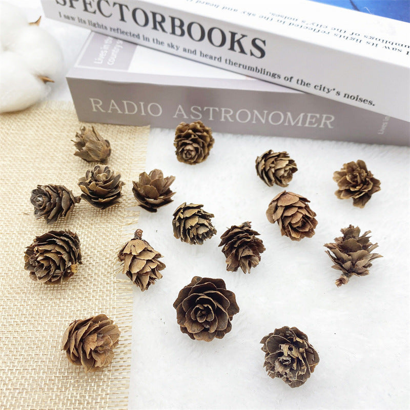 2 Pieces 1-18cm Pine Cone Christmas Decoration Hanging Pine Cone Christmas Tree Hanging Decoration Photography Props Dried Flower Pine Cone Pine Cone