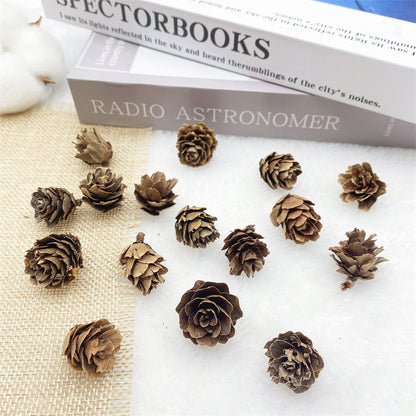 2 Pieces 1-18cm Pine Cone Christmas Decoration Hanging Pine Cone Christmas Tree Hanging Decoration Photography Props Dried Flower Pine Cone Pine Cone