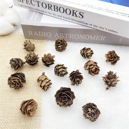 2 Pieces 1-18cm Pine Cone Christmas Decoration Hanging Pine Cone Christmas Tree Hanging Decoration Photography Props Dried Flower Pine Cone Pine Cone