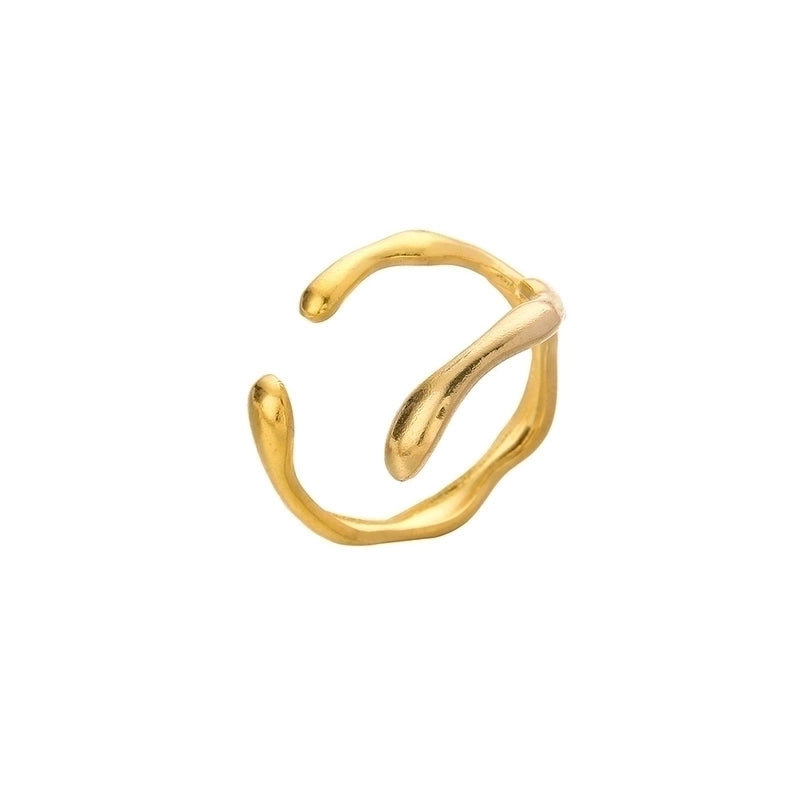 Fashion Geometric 304 Stainless Steel 18K Gold Plated Plating Open Ring