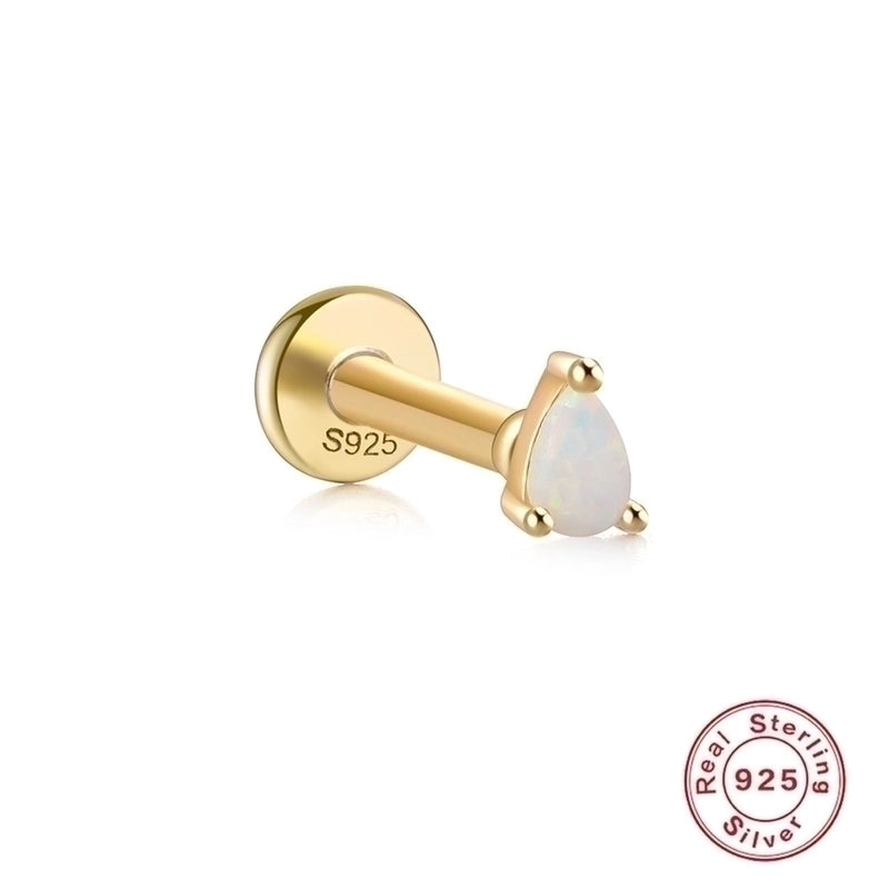 1 Piece Ear Cartilage Rings & Studs Fashion Square Water Droplets Paw Print Silver Inlay Zircon