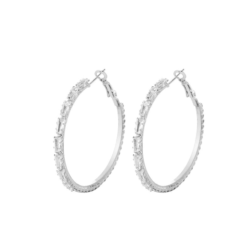 Light Luxury Zircon Super Flash Ring Earrings New Trendy Cold Style Earrings Exaggerated Big Earrings For Women ~