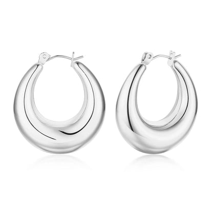 201 Stainless Steel Stainless Steel Earrings