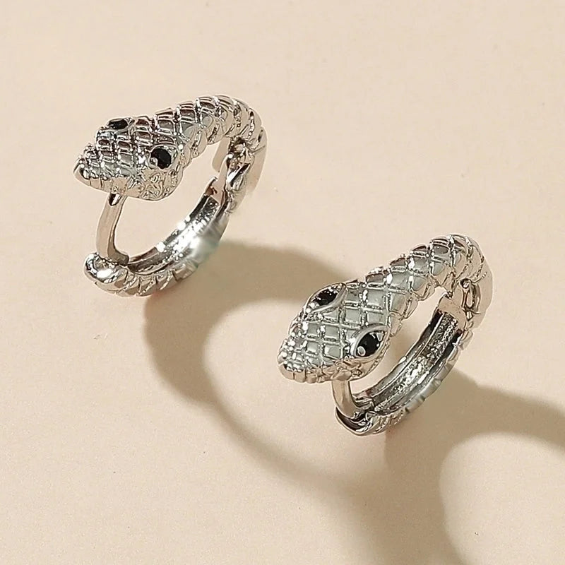 Retro Snake-shaped Copper Earrings