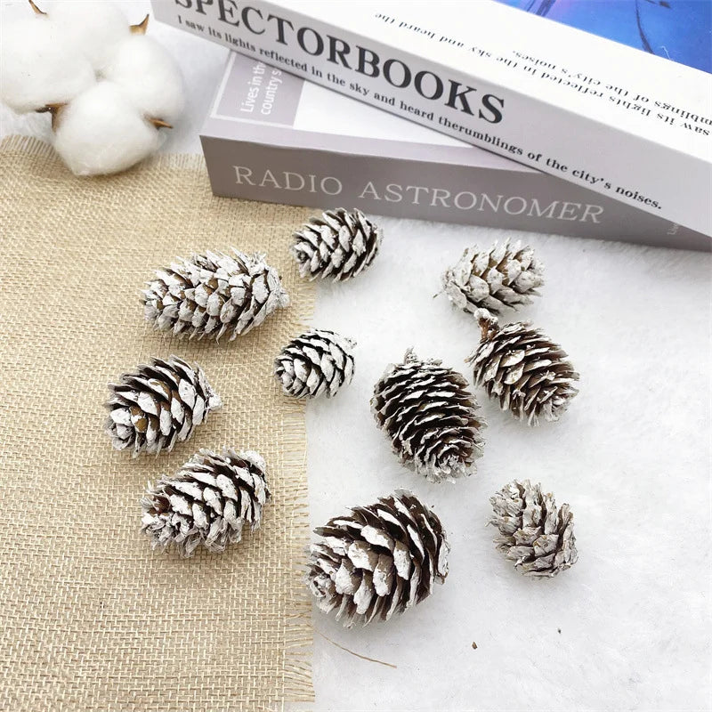 2 Pieces 1-18cm Pine Cone Christmas Decoration Hanging Pine Cone Christmas Tree Hanging Decoration Photography Props Dried Flower Pine Cone Pine Cone