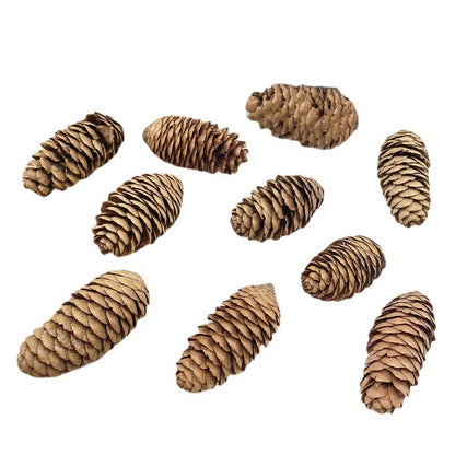 2 Pieces 1-18cm Pine Cone Christmas Decoration Hanging Pine Cone Christmas Tree Hanging Decoration Photography Props Dried Flower Pine Cone Pine Cone