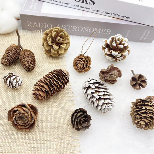 2 Pieces 1-18cm Pine Cone Christmas Decoration Hanging Pine Cone Christmas Tree Hanging Decoration Photography Props Dried Flower Pine Cone Pine Cone