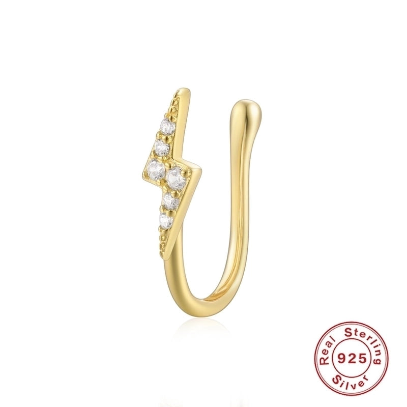 1 Piece Nose Rings & Studs Minimalist Geometric Water Droplets Flower 925 Sterling Silver Plating Inlay Zircon