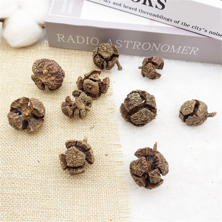 2 Pieces 1-18cm Pine Cone Christmas Decoration Hanging Pine Cone Christmas Tree Hanging Decoration Photography Props Dried Flower Pine Cone Pine Cone