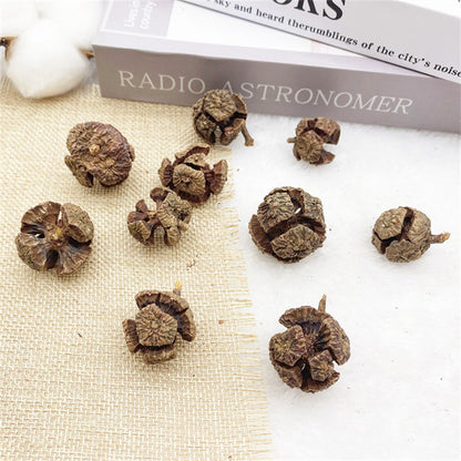 2 Pieces 1-18cm Pine Cone Christmas Decoration Hanging Pine Cone Christmas Tree Hanging Decoration Photography Props Dried Flower Pine Cone Pine Cone