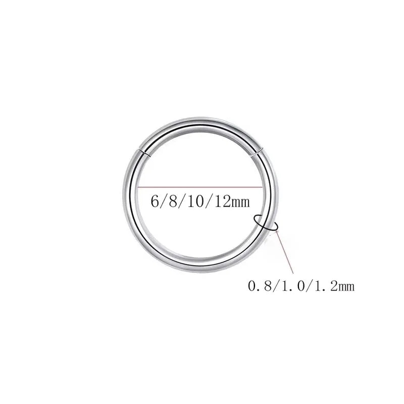 1 Piece Nose Rings & Studs Basic Solid Color Pure Titanium