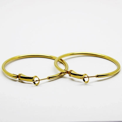 1 Pair Minimalist Solid Color Stainless Steel Hoop Earrings