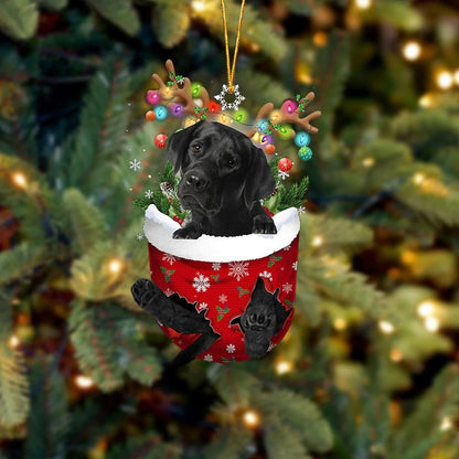 Christmas Modern Style Classic Style Dog Arylic Party Festival Hanging Ornaments